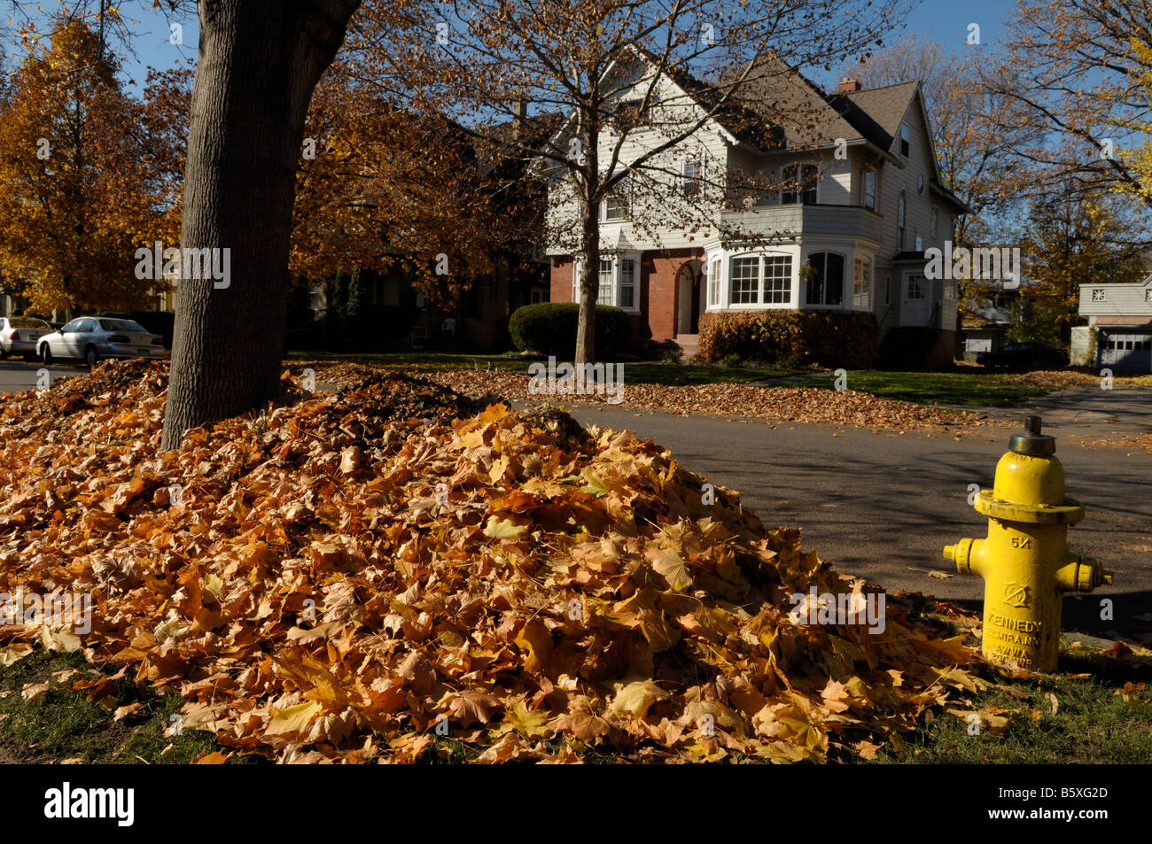 Typical autumn scene in Rochester, NY USA. Stock Photo
