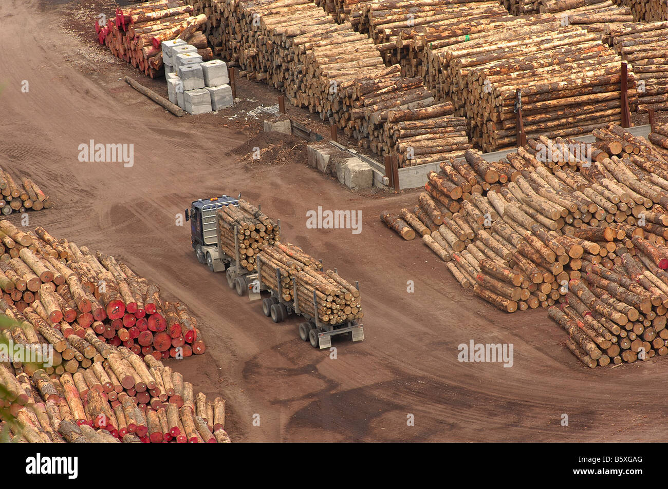 Lumber yard hires stock photography and images Alamy