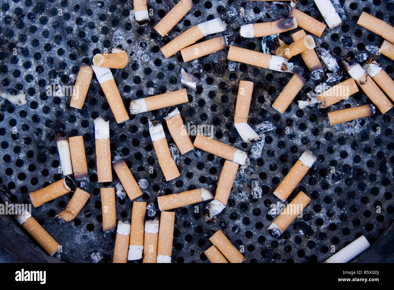 cigarette butts in a receptacle for stubbing out cigarettes on an amsterdam street Stock Photo