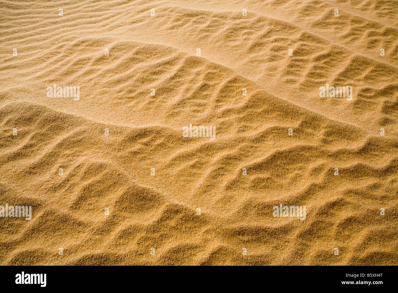 Close up of ridge of sandy desert floor , Sahara Desert, Egypt, North  Africa Stock Photo - Alamy