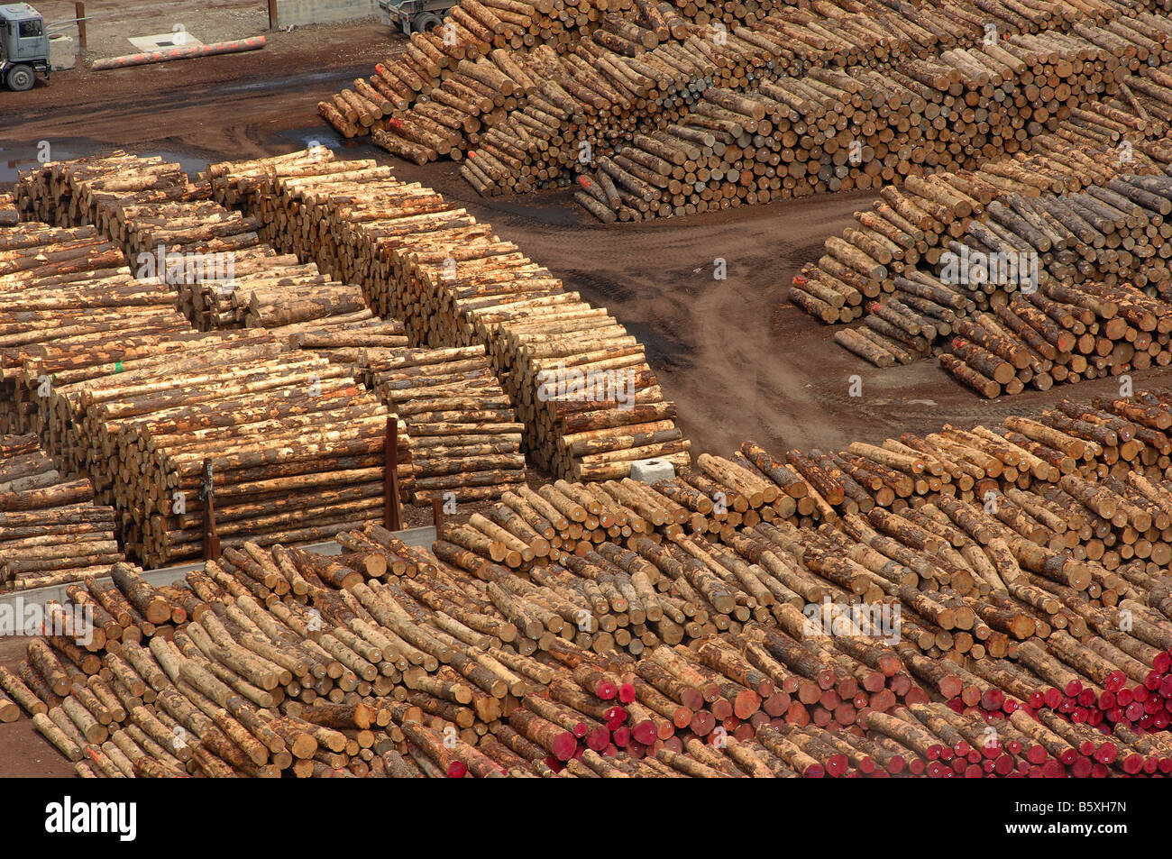 Lumber Yard, Gisborne, New Zealand John Gollop Stock Photo Alamy