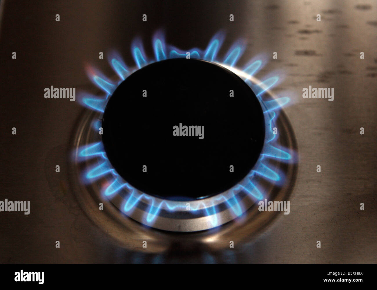 Gas rings alight on a domestic cooker Stock Photo Alamy