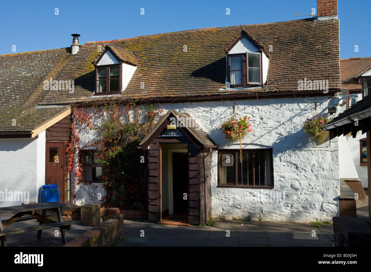 Cider house - mzaerac
