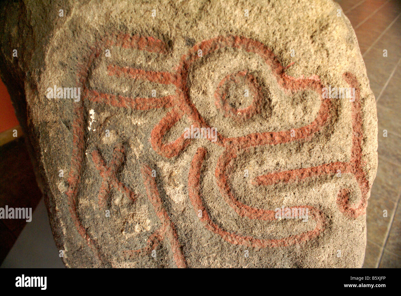 Pre-Columbian petroglyph in the Museo Nacional de Antropologia David J Guzman national anthropology museum  in San Salvador, El Salvador Stock Photo