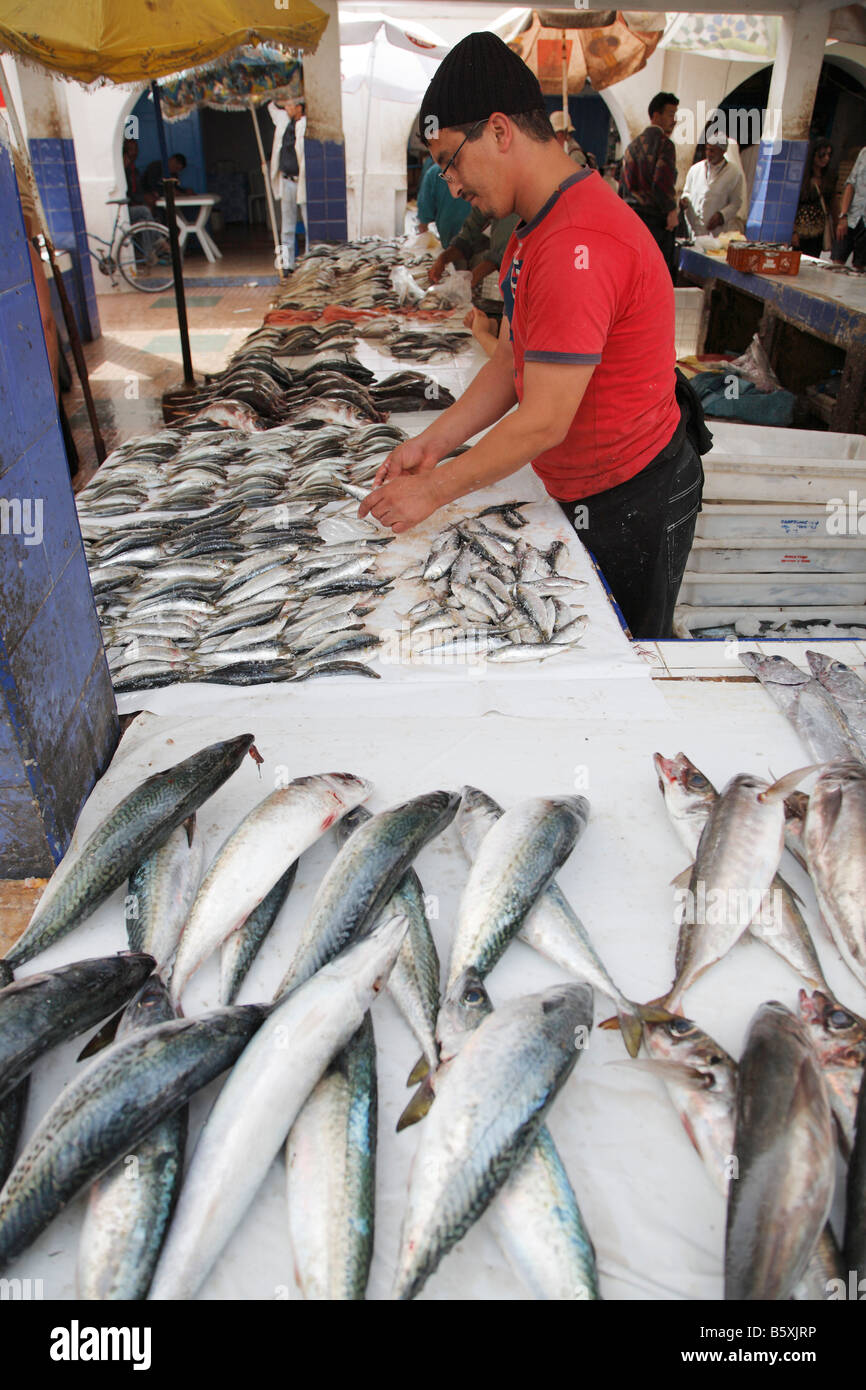 Fish market, Essaouira, Morocco, Africa Stock Photo Alamy
