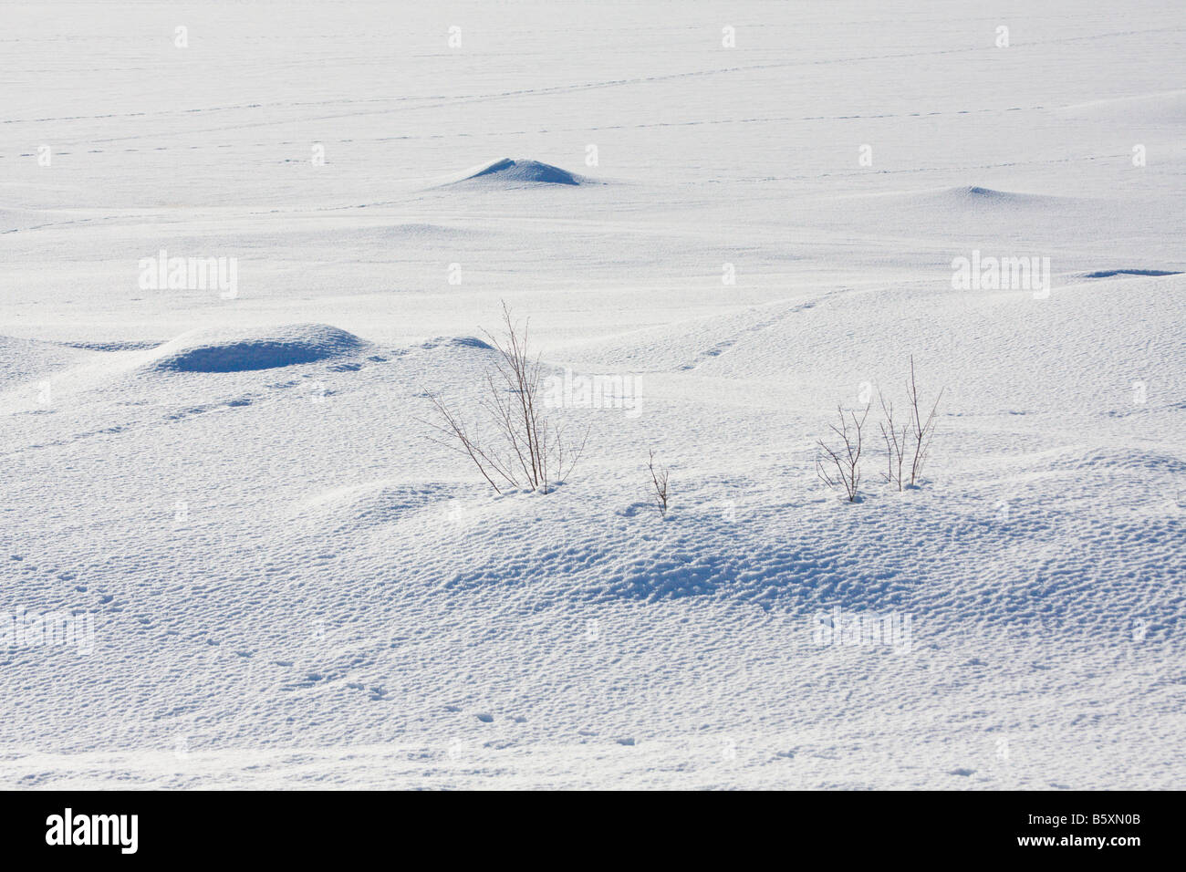 Snow covered lake and shore with animal tracks Valdres Norway Stock Photo