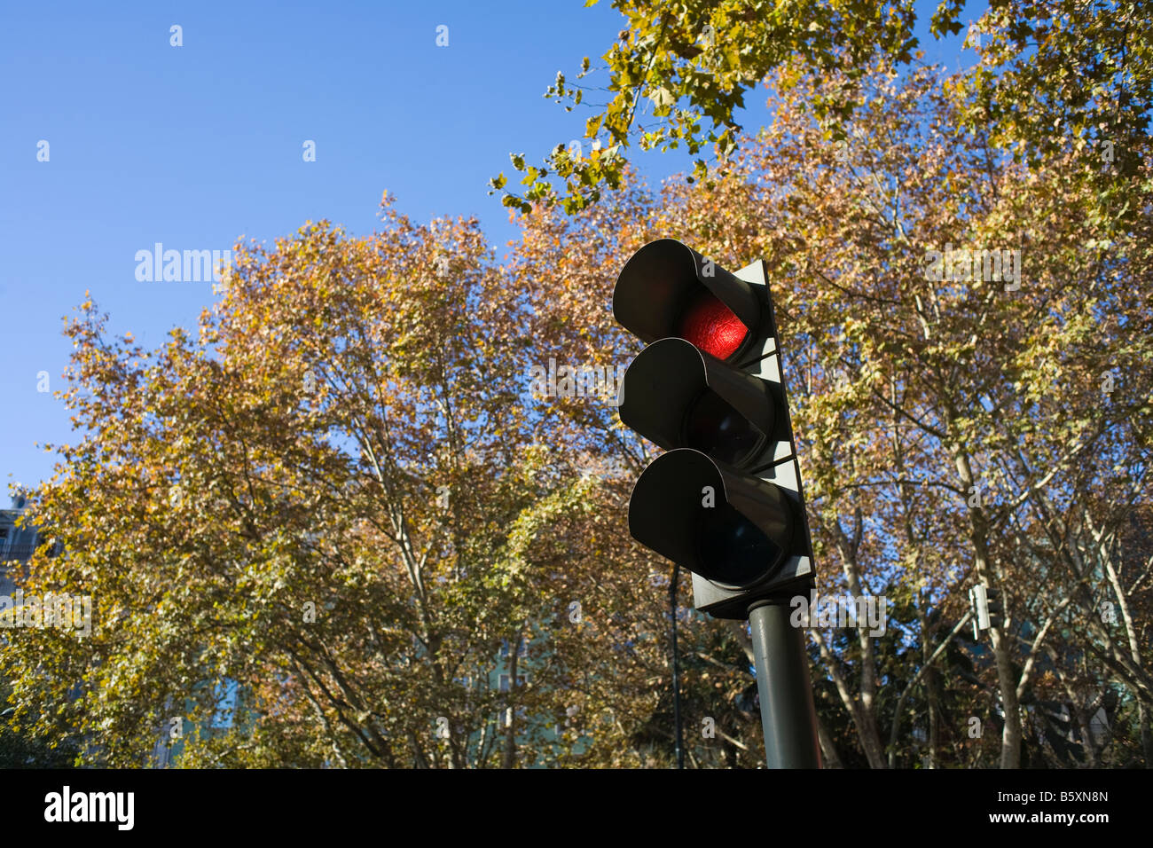 Red traffic light showing stop hi-res stock photography and images - Alamy