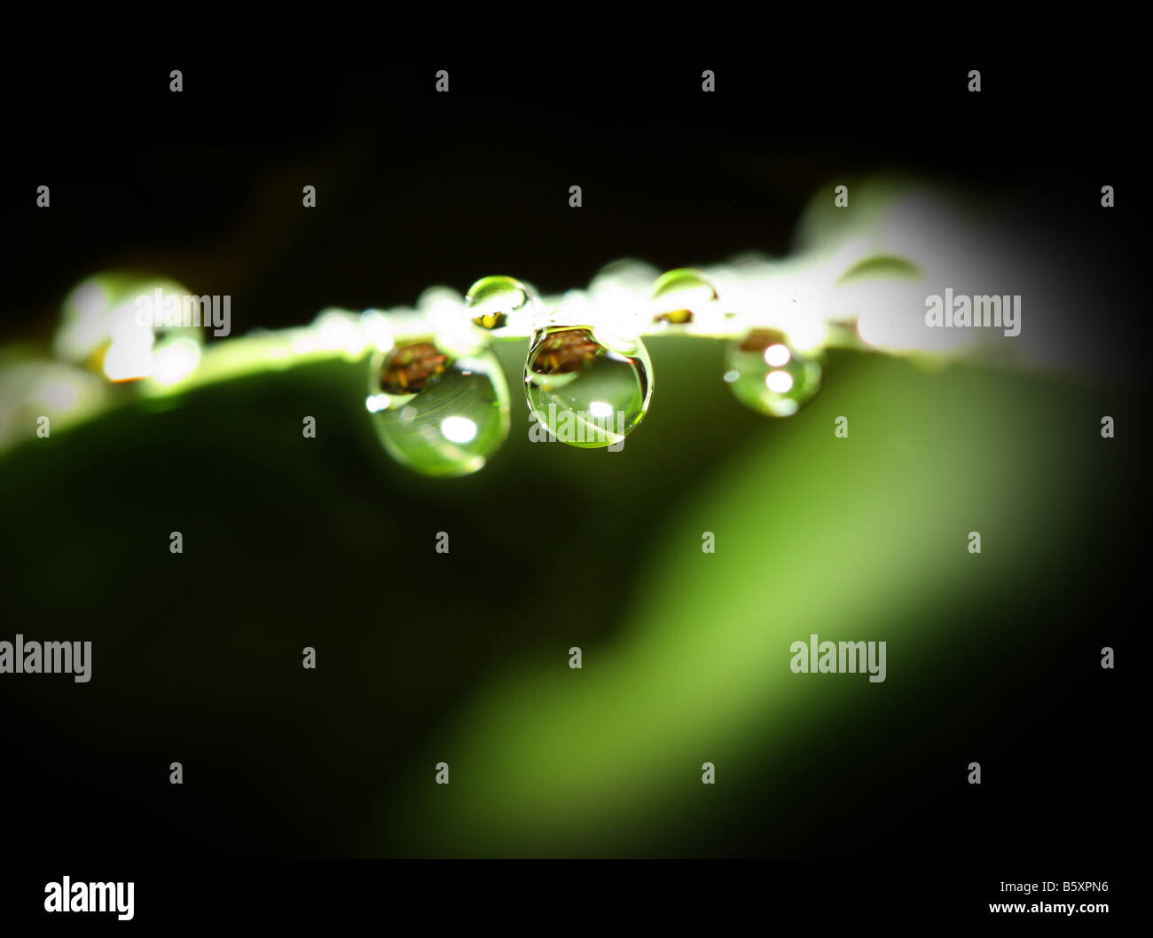 fine macro image of water drop background Stock Photo - Alamy