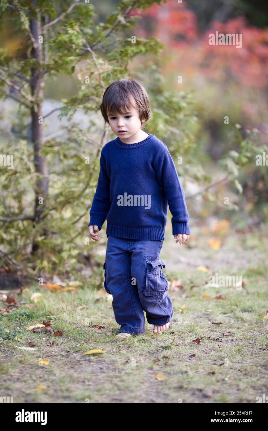 3 year old boy eurasian looks caucasian barefoot during the autumn wearing a blue sweater Stock Photo