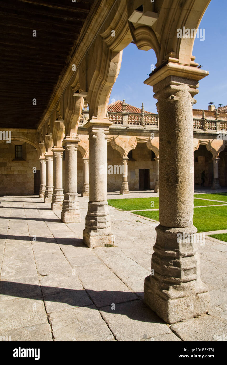 Patio de las Escuelas Menores, Salamanca University, Castilla y Leon