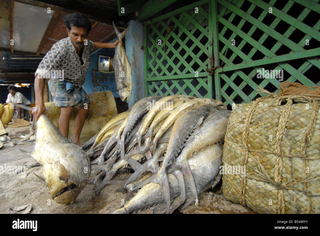 FISH MARKET IN MADURAI TAMILNADU Stock Photo Alamy