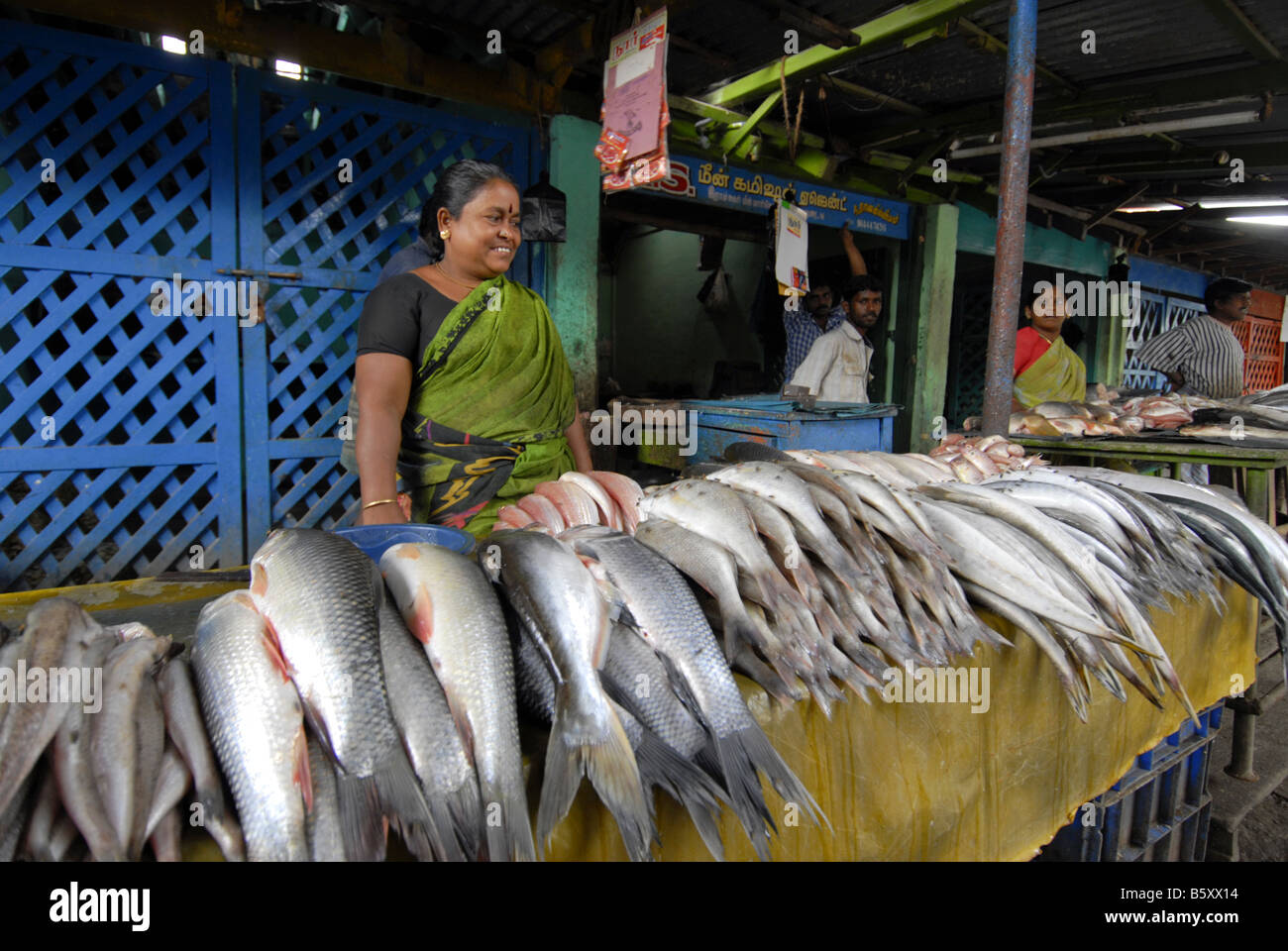FISH MARKET IN MADURAI TAMILNADU Stock Photo Alamy