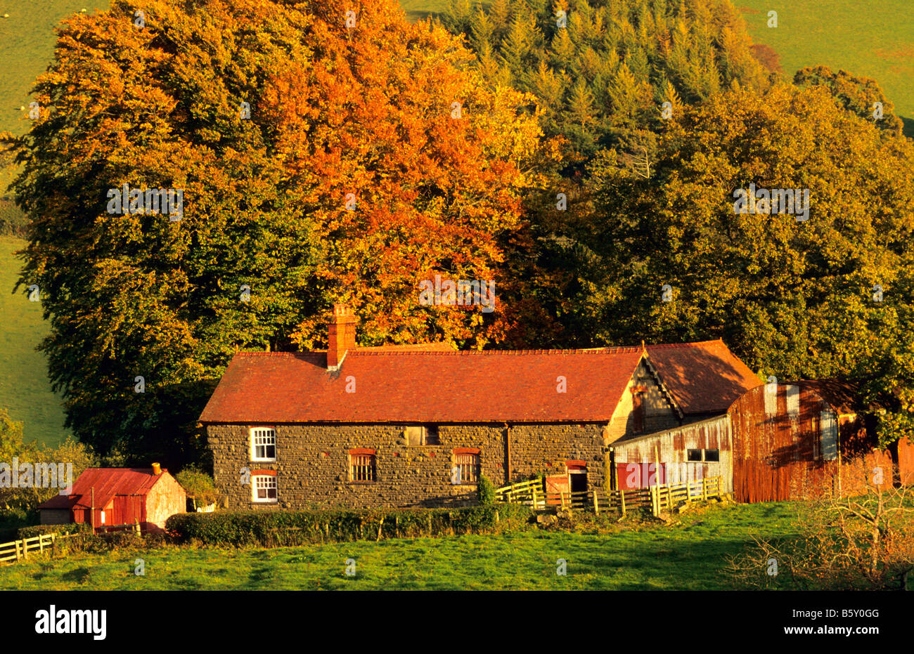 Welsh farmhouse - Powys, Wales, UK. Stock Photo