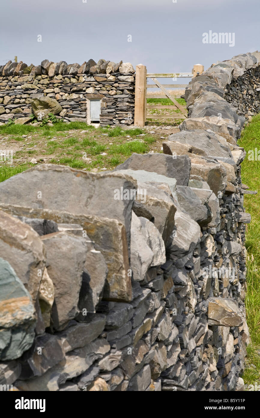 Drystone walling next to the A590 dual carriageway in Cumbria Stock Photo