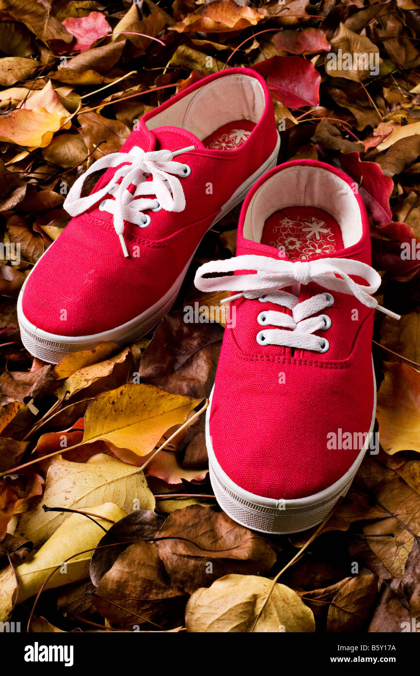 Red tennis shoes on autumn leaves Stock Photo