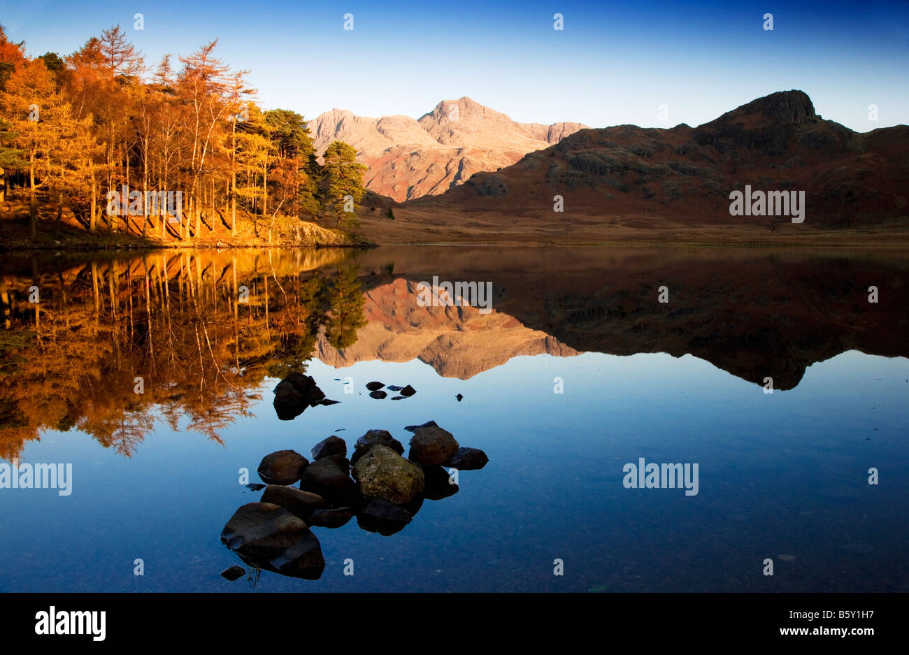 Early morning sun lights autumn trees on the shores of Blea Tarn and Langdale Pikes reflected in still water, Lake District, UK Stock Photo