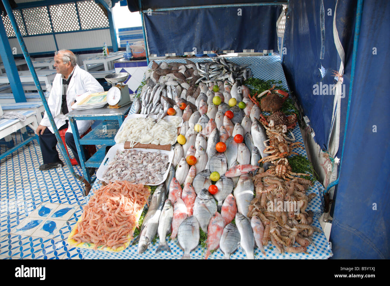 Fish restaurant, Essaouira, Morocco, Africa Stock Photo Alamy