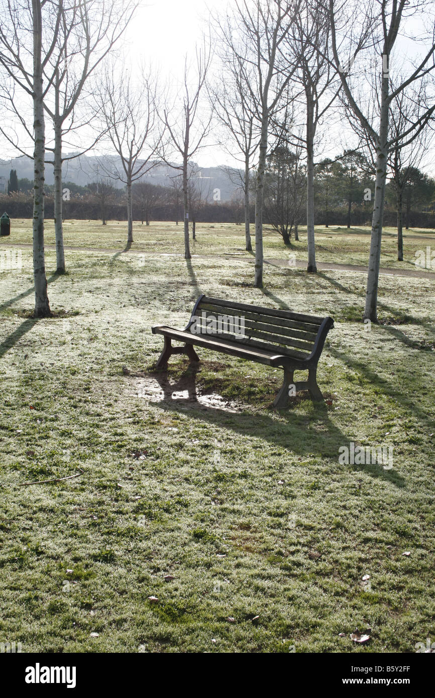 An Empty Bench one empty bench in park with bare trees in autumn Stock Photo - Alamy