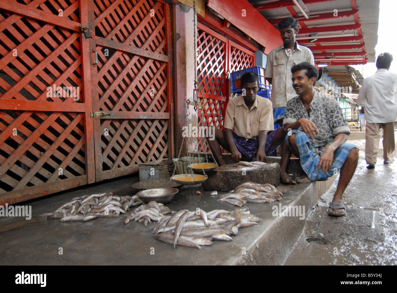 FISH MARKET IN MADURAI TAMILNADU Stock Photo Alamy