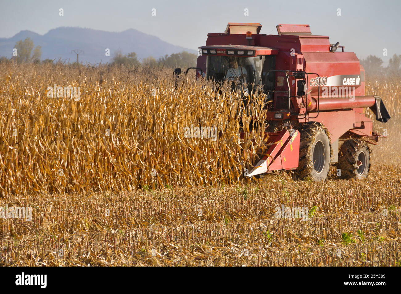 Corn maize harvest france hires stock photography and images Alamy
