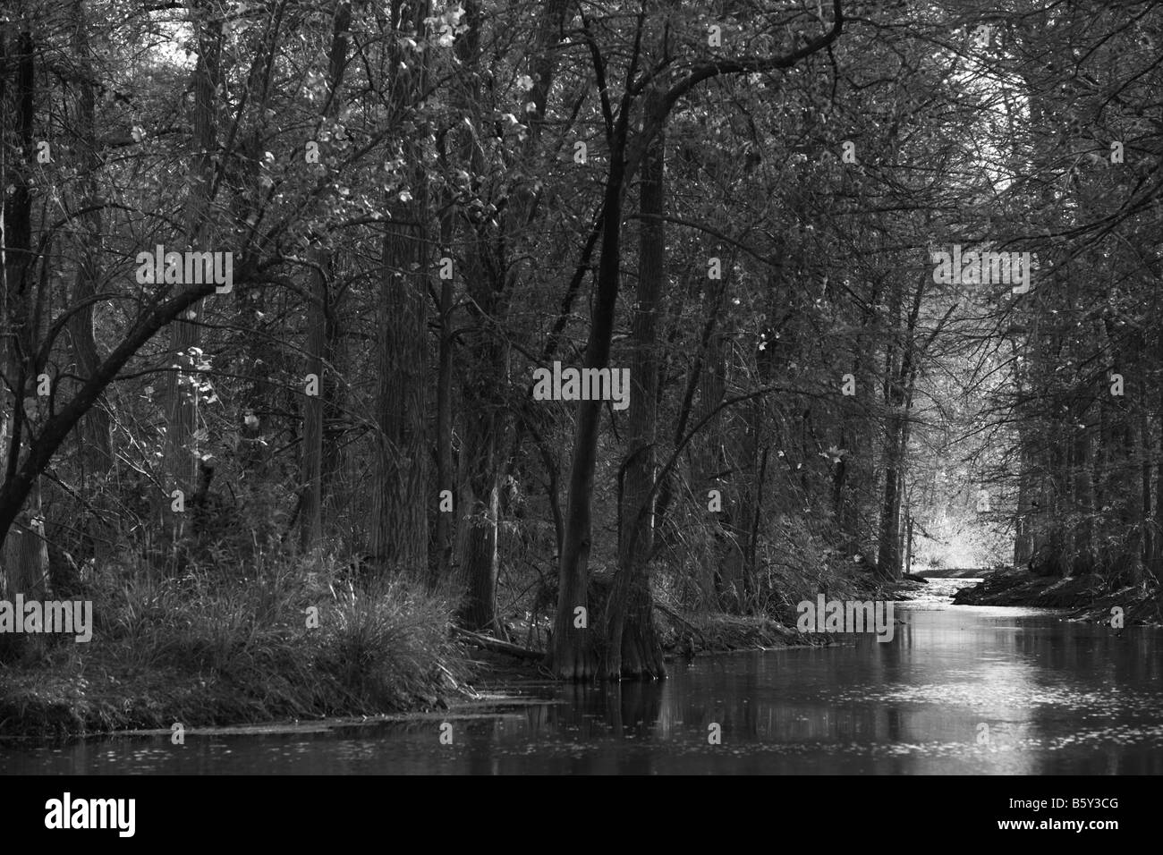 River, stream, or creek Landscape in Texas Hill Country during the autumn fall season Stock Photo