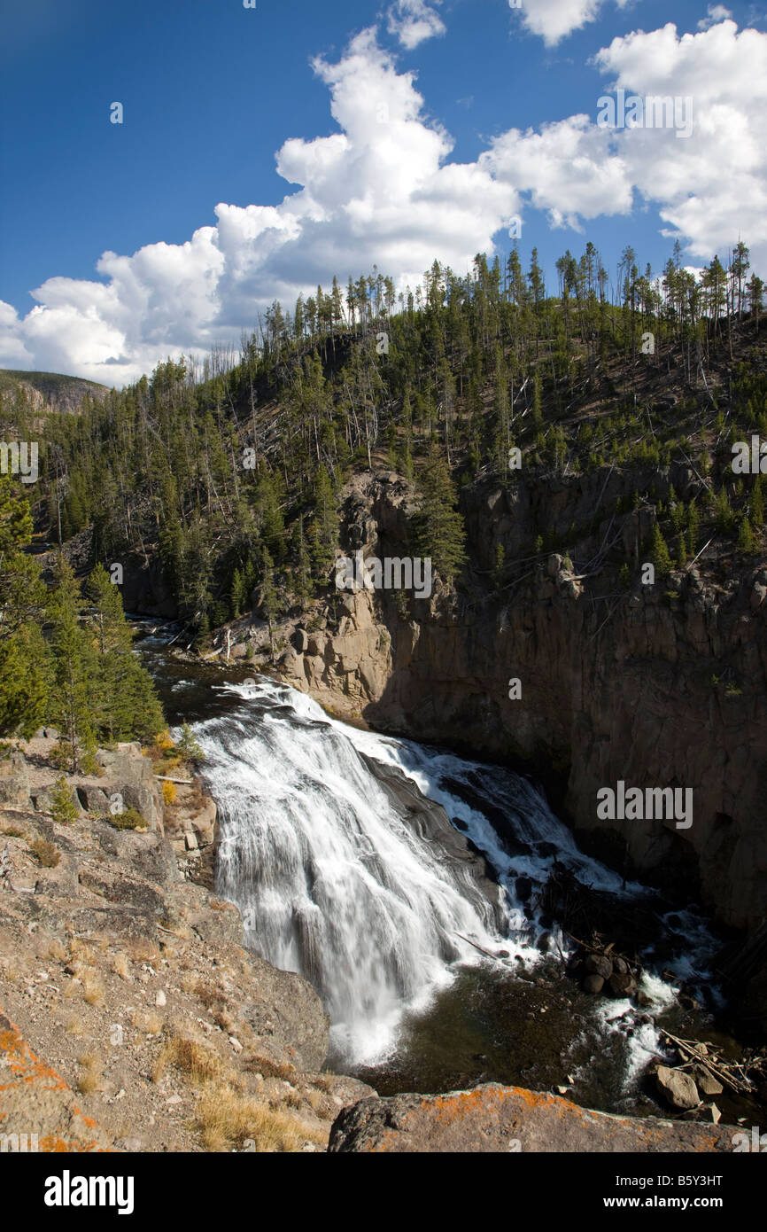 Gibbon Falls (84'), Gibbon River, Yellowstone National Park, Wyoming, USA Stock Photo