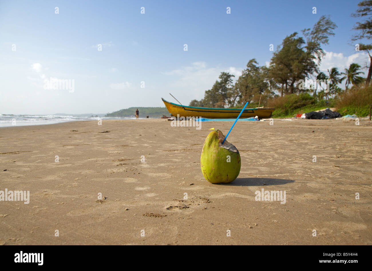Coconut Drink on Arambol Beach, Goa, India Stock Photo Alamy