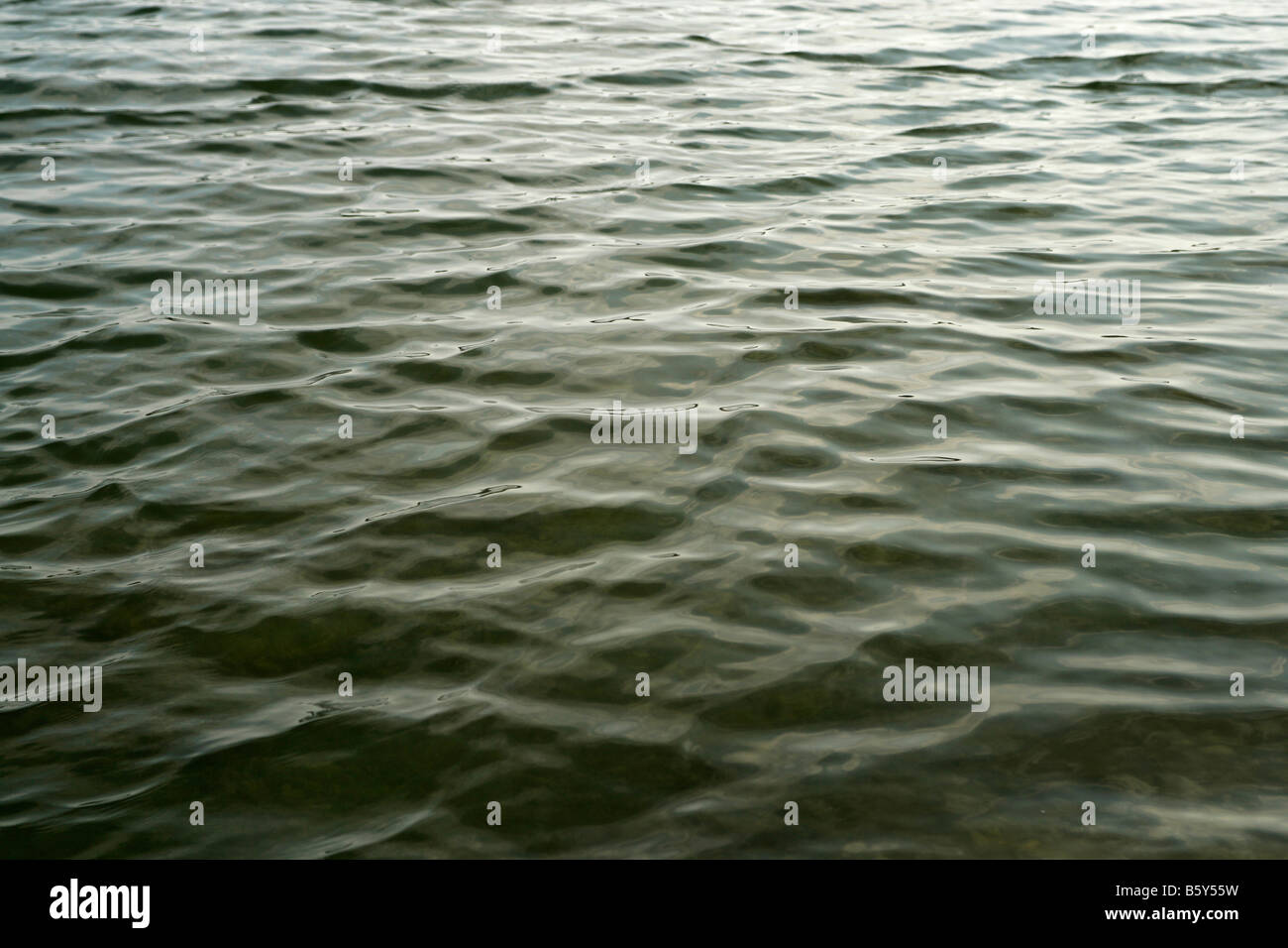 Waves in a lake of deep cool water Stock Photo