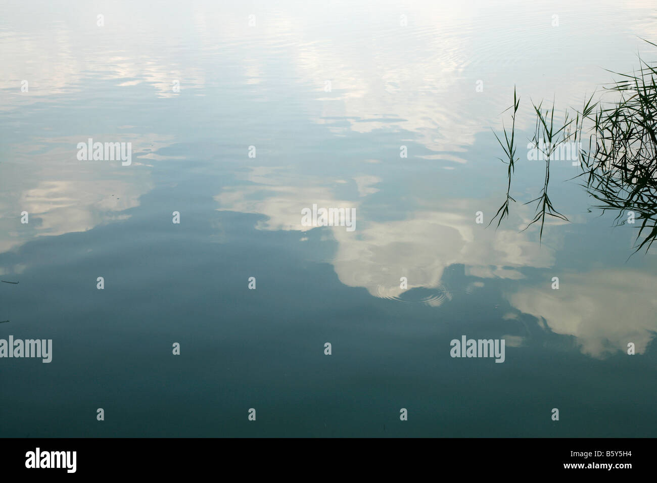 White clouds and blue sky reflected in a lake or river with a bank of ...