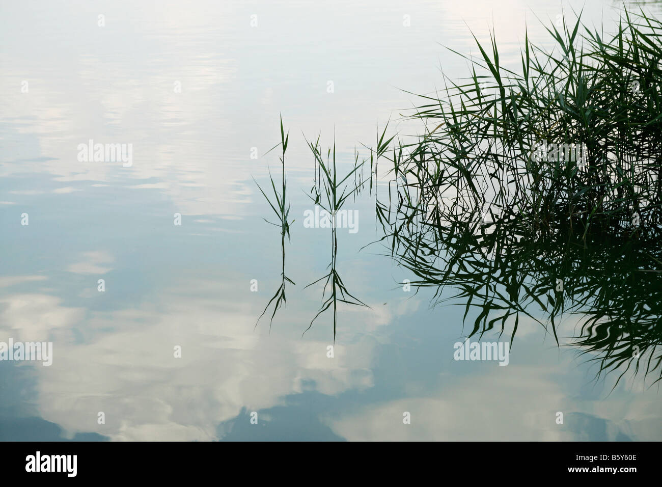 Bank of lake reflected hi-res stock photography and images - Alamy