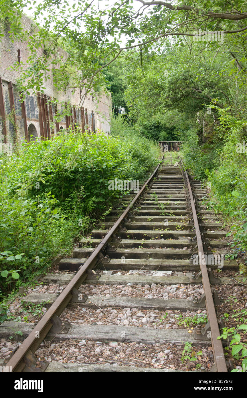 Overgrown Railway Track Hi-res Stock Photography And Images - Alamy