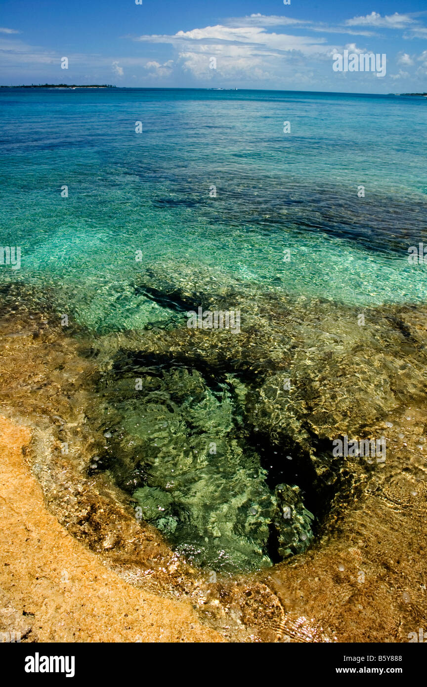 Coast of Rose Island, Bahamas Stock Photo Alamy