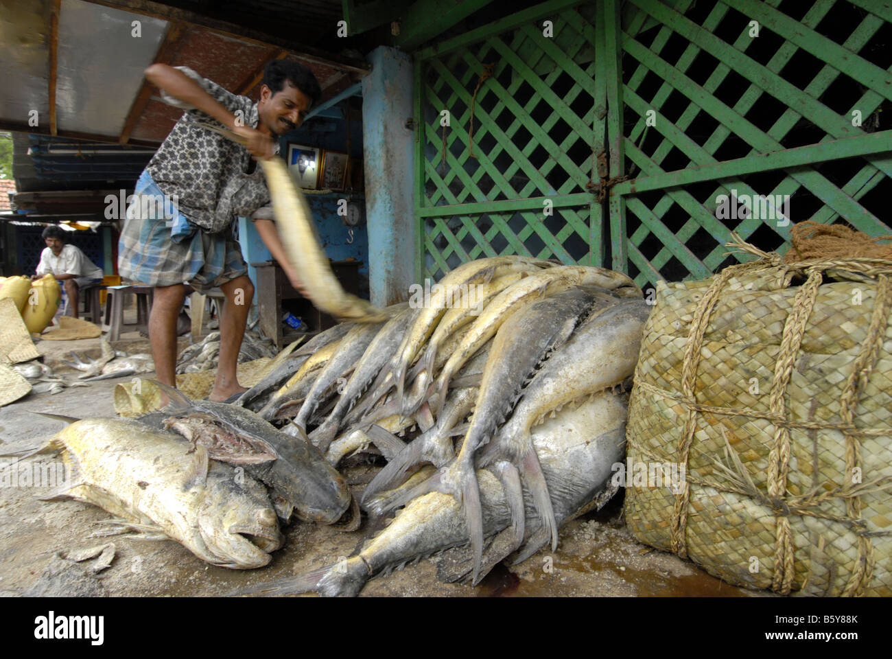 FISH MARKET IN MADURAI TAMILNADU Stock Photo Alamy