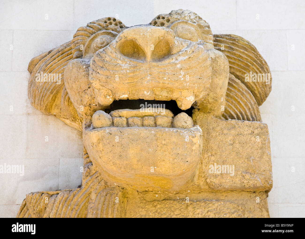 Statue of a Lion. National Archaeological Museum, Damascus, Syria. Stock Photo