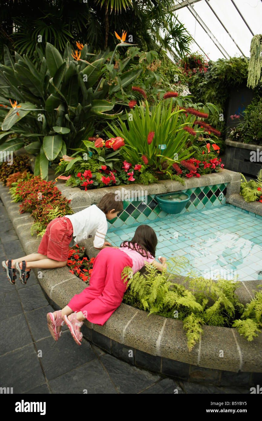 Children at wishing fountain Begonia House Wellington Botanic Garden Wellington New Zealand Model Released Stock Photo