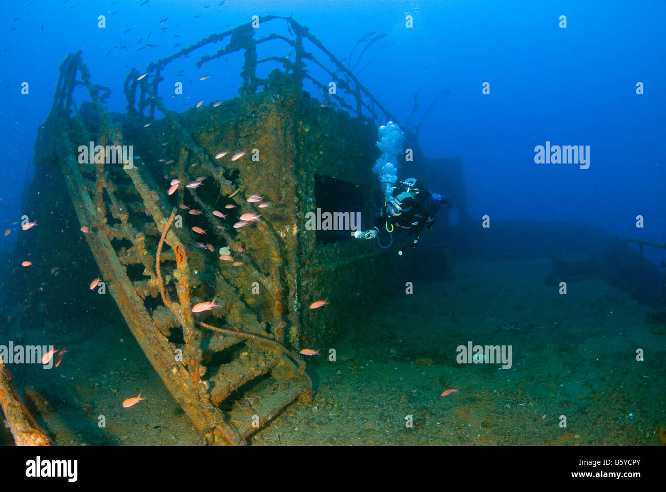 Wreck of Haven, Arenzano, Genova, Liguria, Italy, Mediterranean and scubadiver Stock Photo
