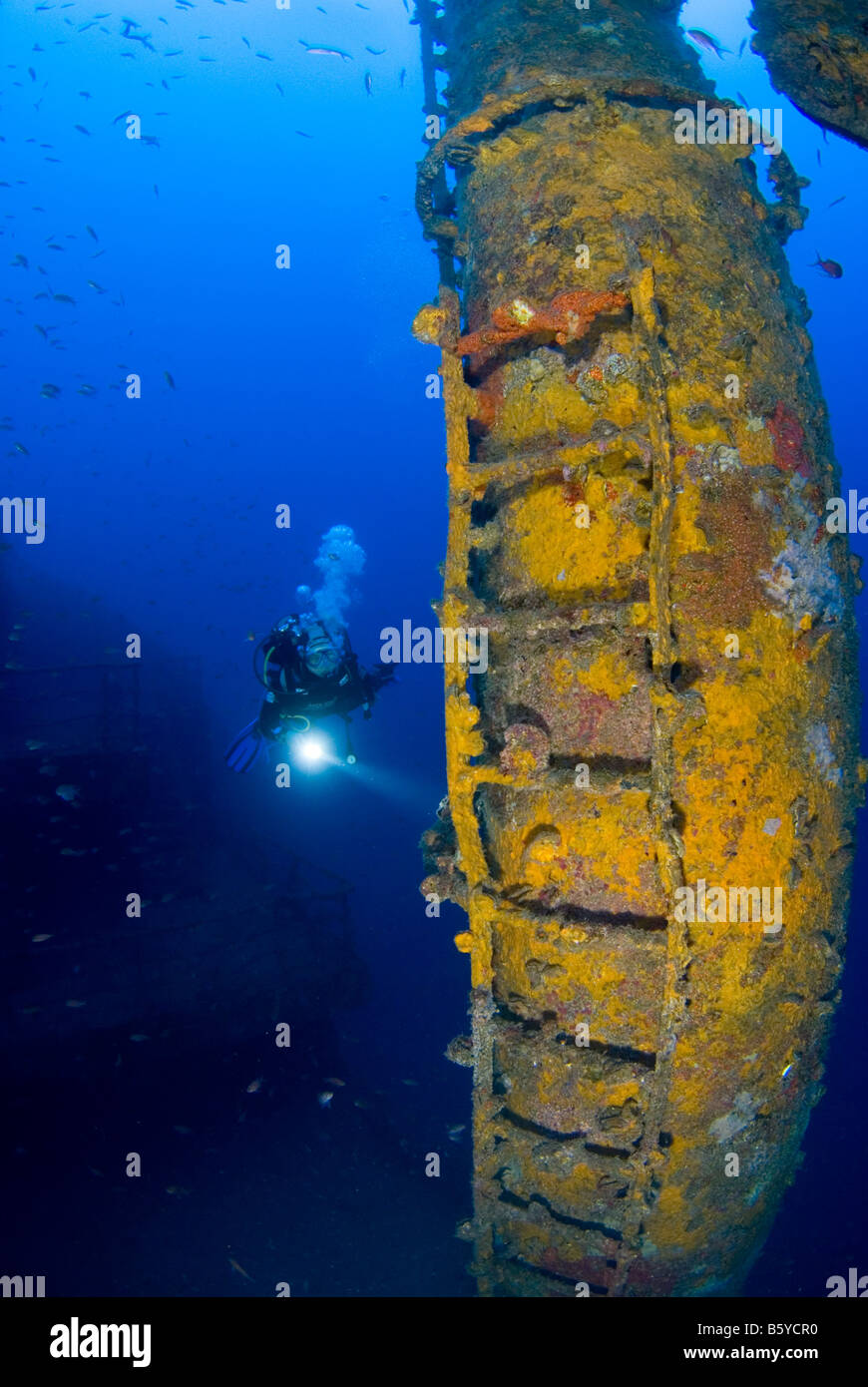 Wreck of Haven, Arenzano, Genova, Liguria, Italy, Mediterranean and scubadiver Stock Photo