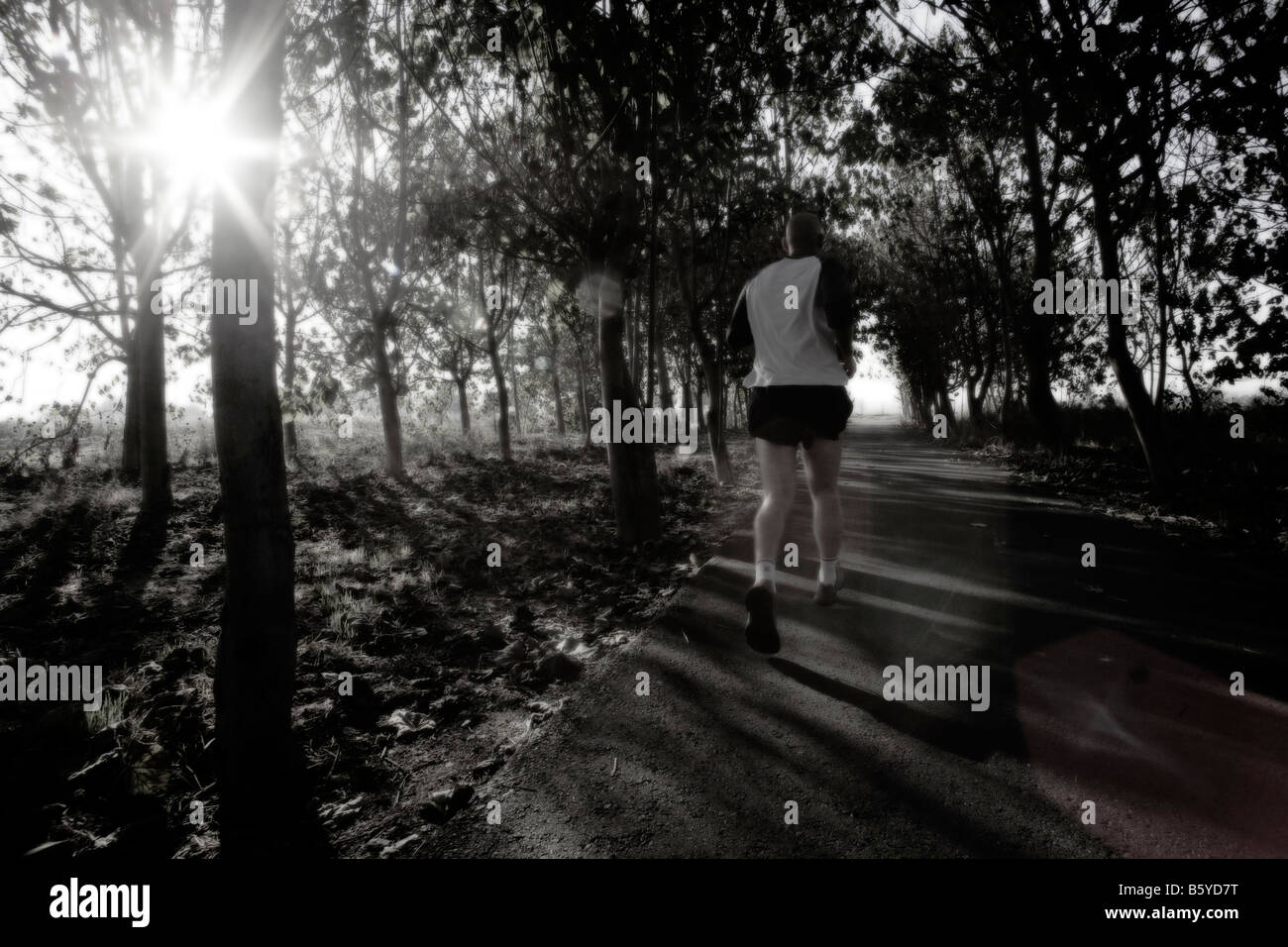 Man jogging in the forest Black and White Stock Photo