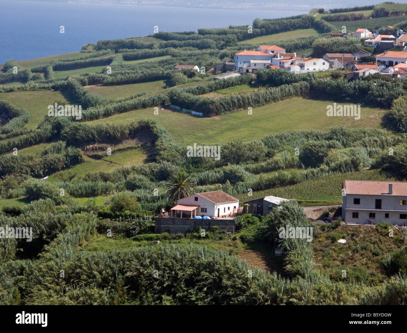 Houses on the countryside on São