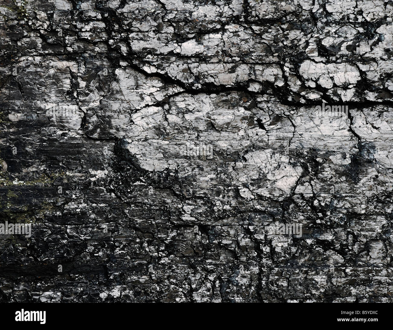 Shiny black surface texture hi-res stock photography and images - Alamy