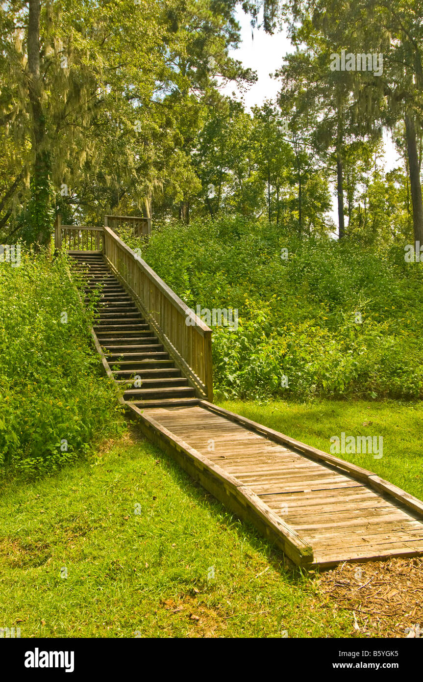 Lake Jackson Mounds Archaeological State Park Tallahassee Florida Indian earth temple mounds wood stairs boardwalk Stock Photo