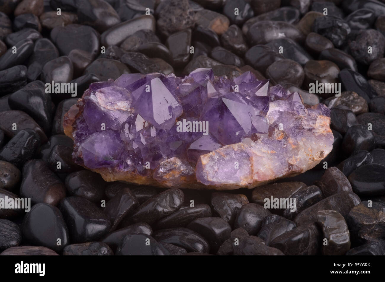 Amethyst crystal cluster on black riverstones Stock Photo