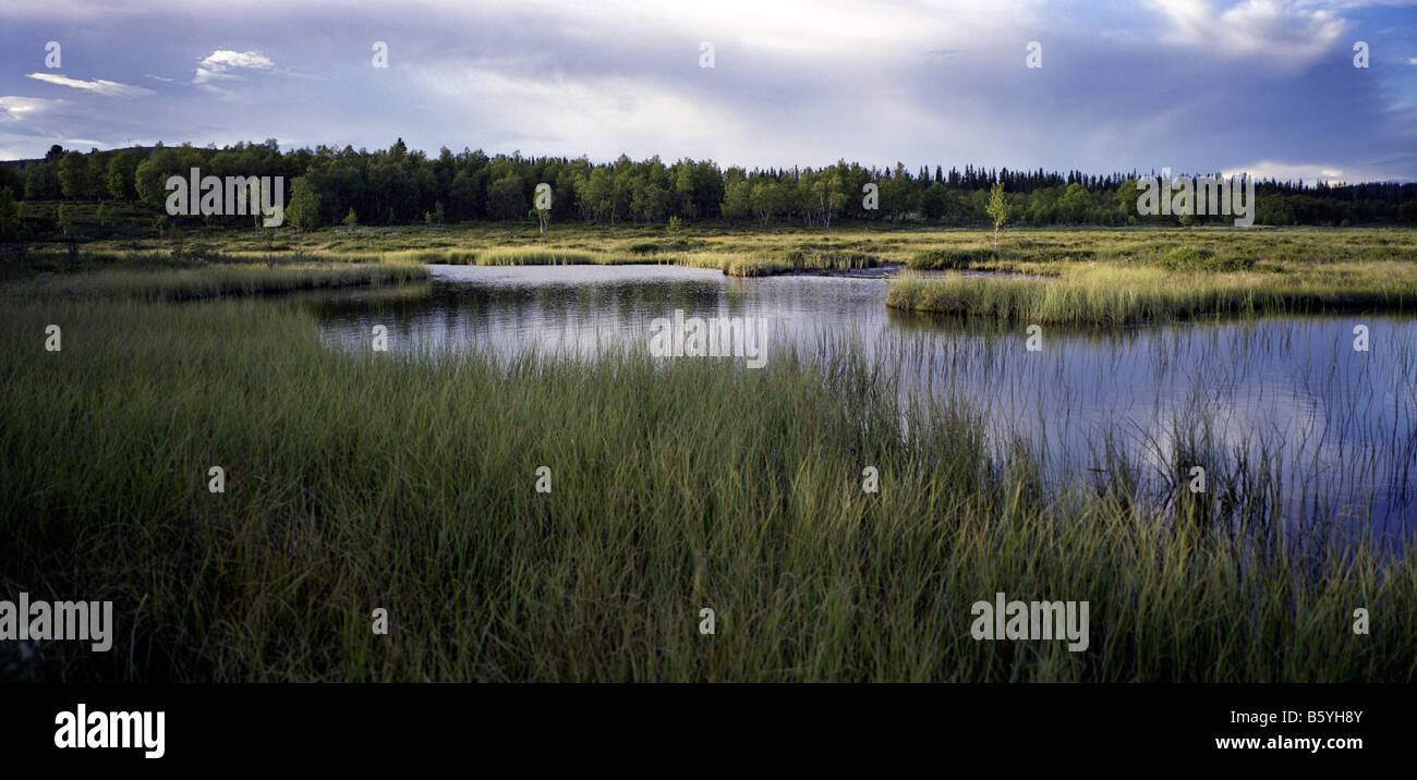Lake in Rogen Sweden Stock Photo