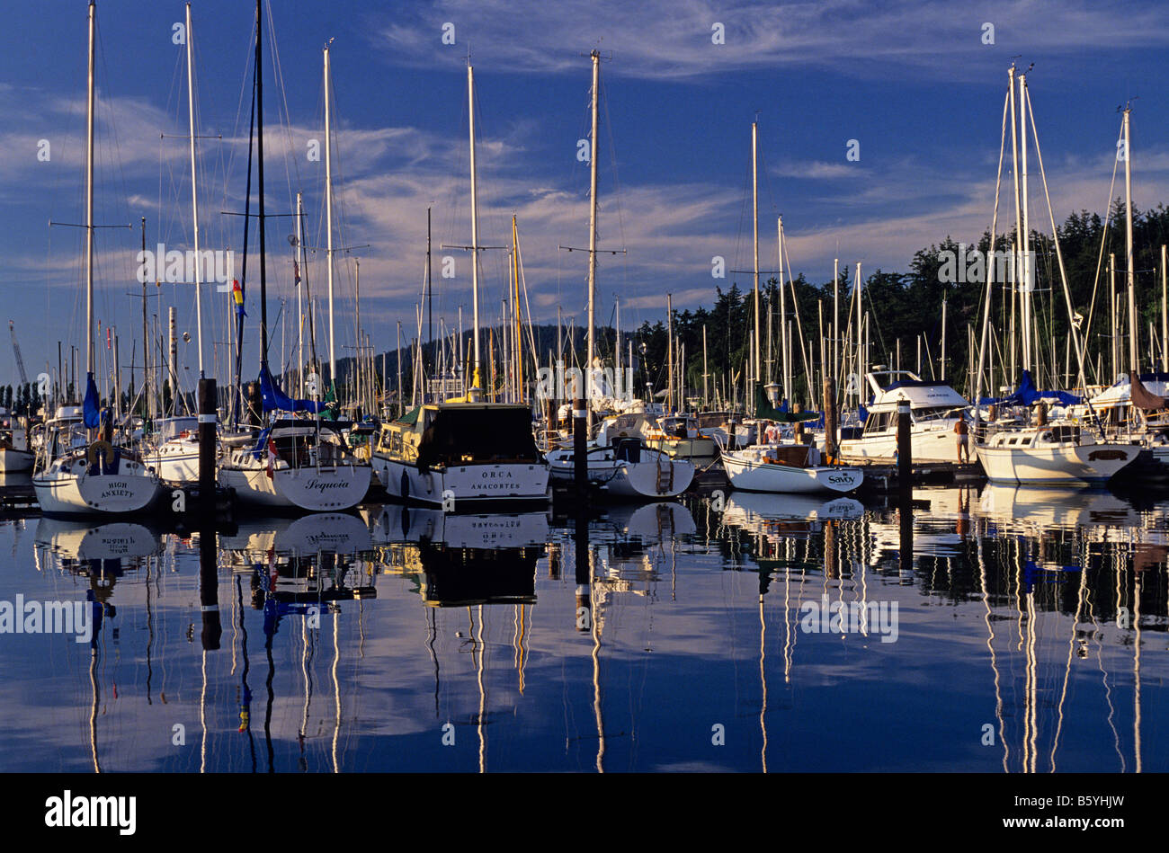 Cap Sante Boat Haven sailboats at marina Anacortes Washington State USA