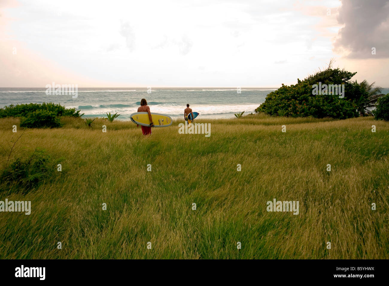 Barbados, surfers walking to beach Stock Photo Alamy