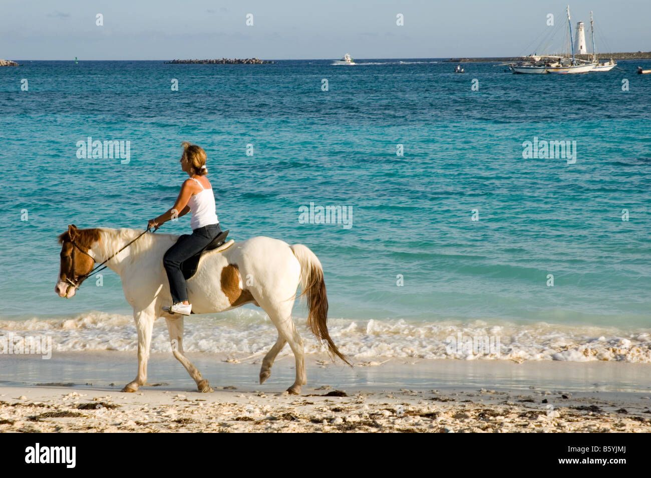 Horseback riding, Nassau, New Providence, Bahamas Stock Photo - Alamy