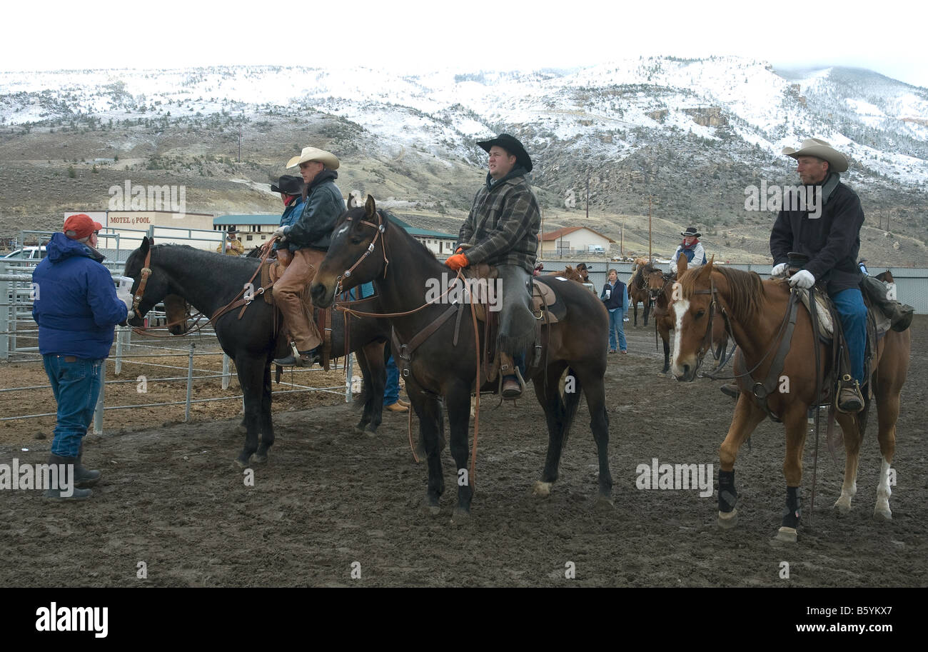 In Cody, Wyoming, horses to be sold later that day await a preview in Cody's Buffalo Bill Stampede arena Stock Photo