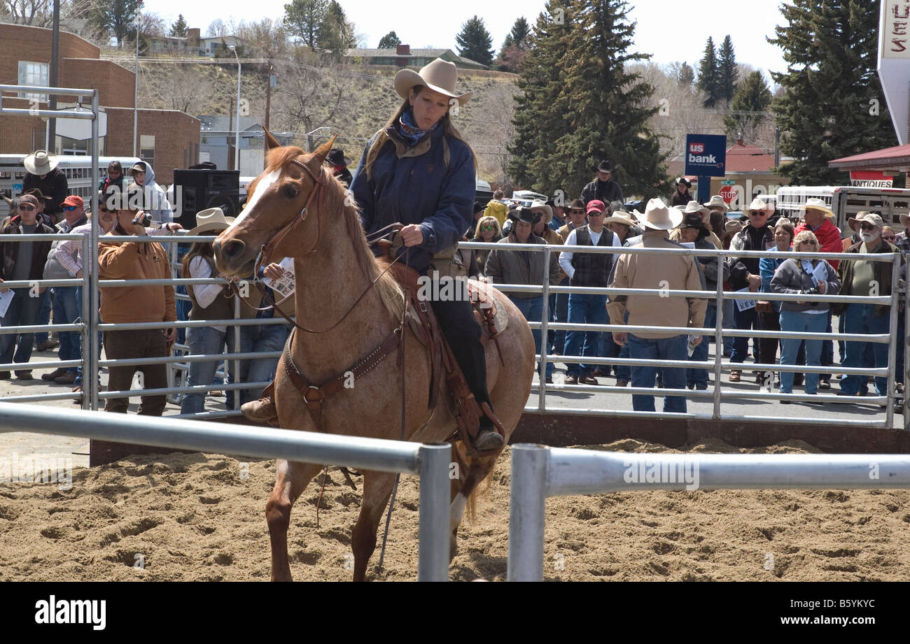 A rider displays her horse in the annual Buffalo Bill Top Notch horse
