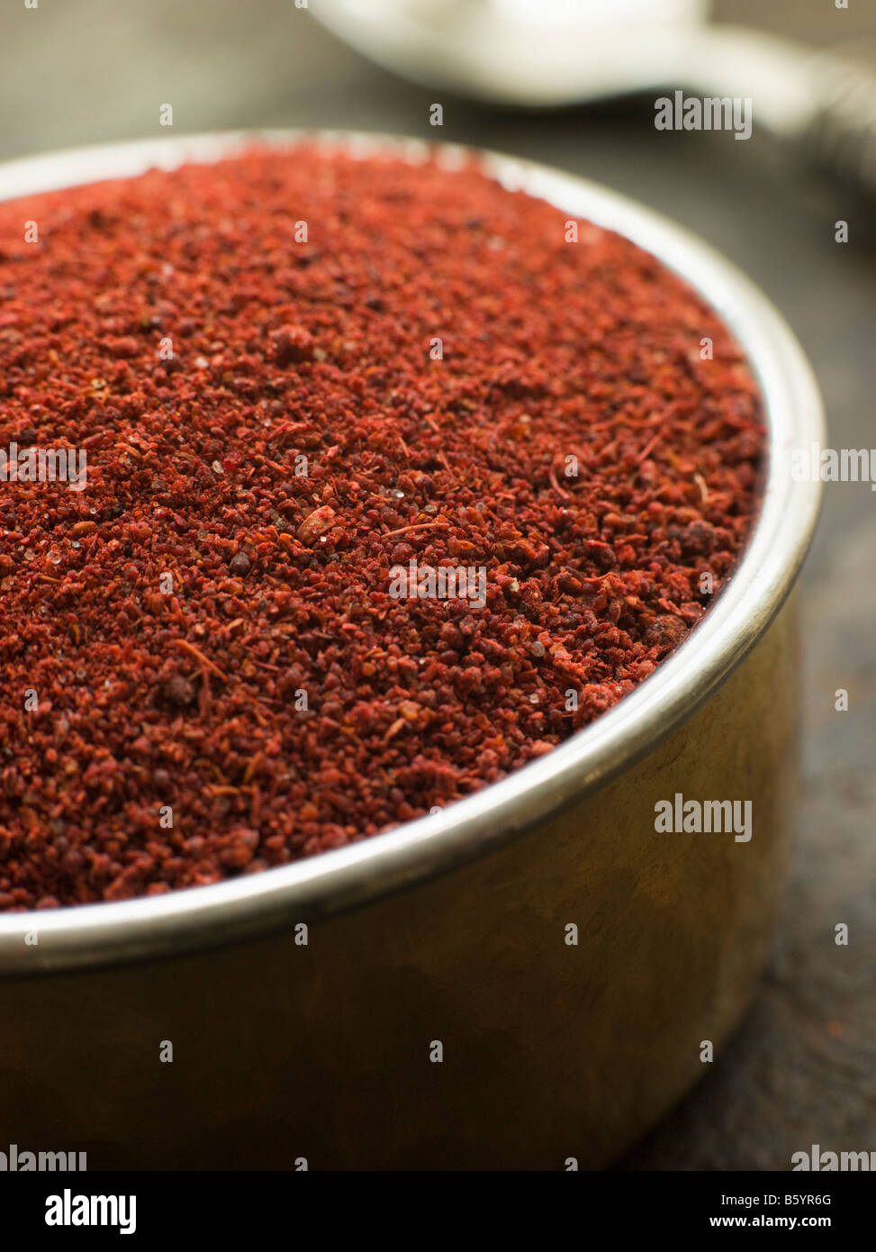 Dish of Tandoori Spice Stock Photo