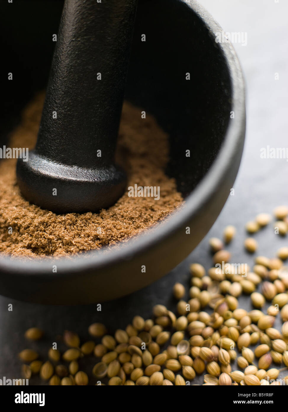 Coriander Powder in a Pestle and Mortar with Coriander Seeds Stock Photo
